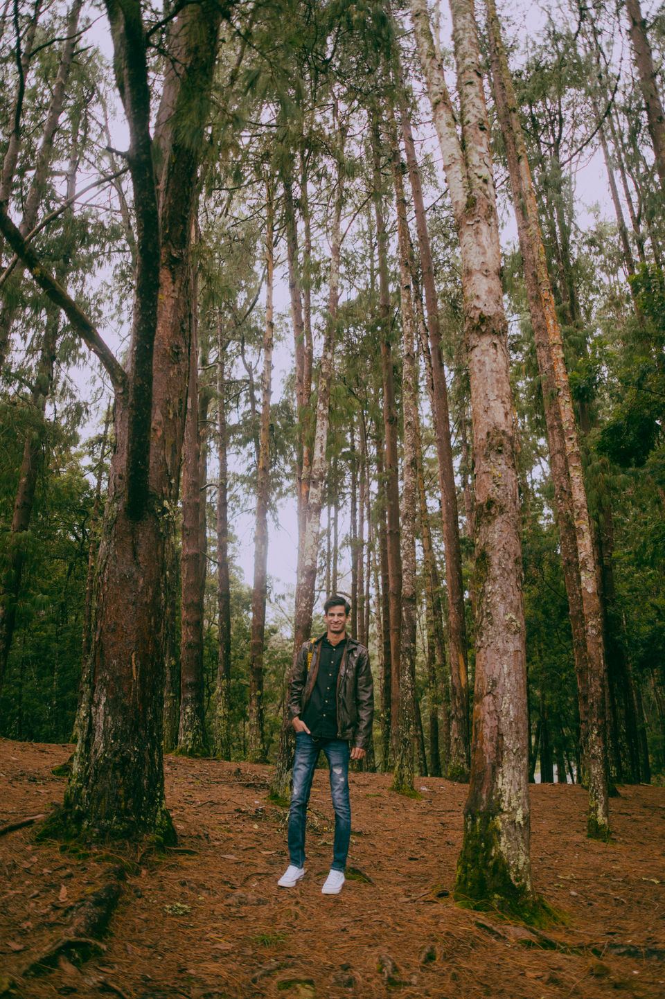 Photo of Kodaikanal - The Princess of Hill stations by Christopher D'costa