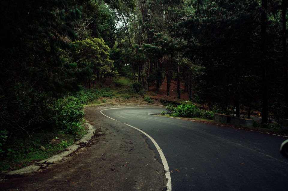 Photo of Kodaikanal - The Princess of Hill stations by Christopher D'costa