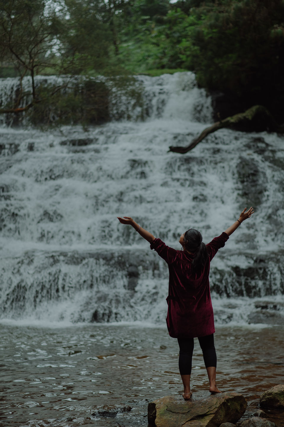 Photo of Vattakanal, Kodaikanal, Tamil Nadu, India by Christopher D'costa