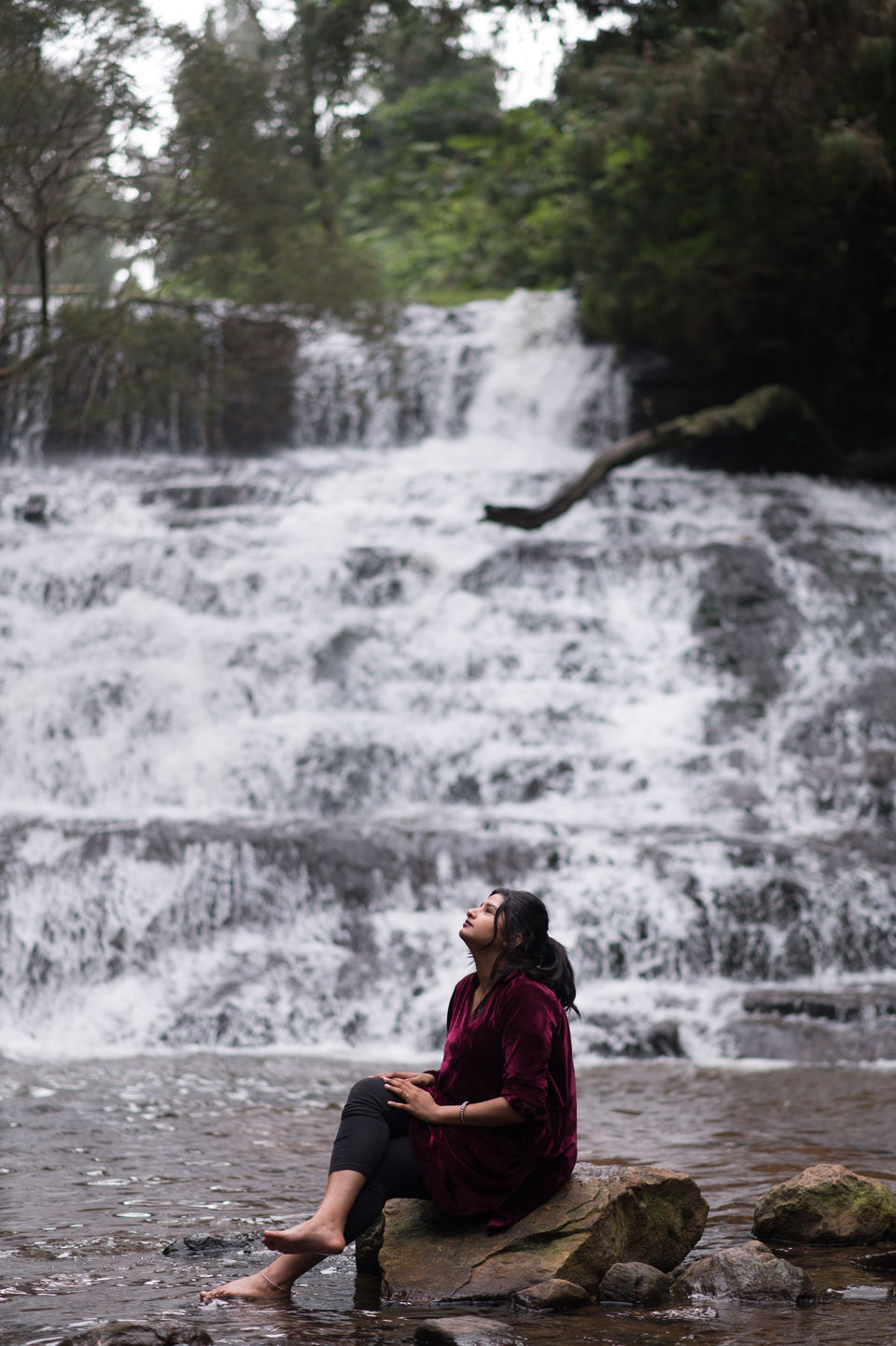 Photo of Vattakanal, Kodaikanal, Tamil Nadu, India by Christopher D'costa
