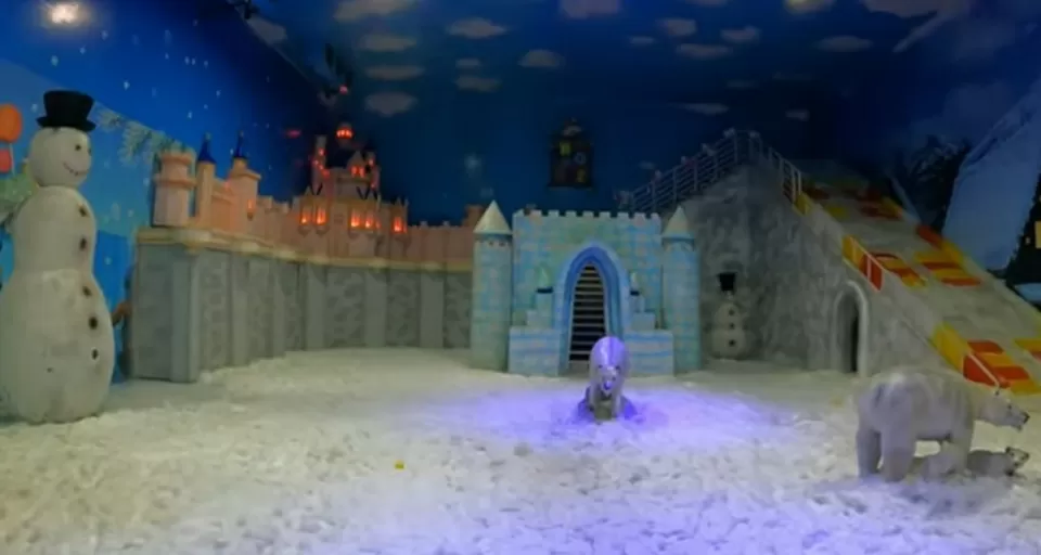 Photo of दिल्ली और गुड़गांव वालों को परांठे के साथ स्नो का मजा हरियाणा के इस स्थान पर देखने को मिलेगा by Rohit Gautam 