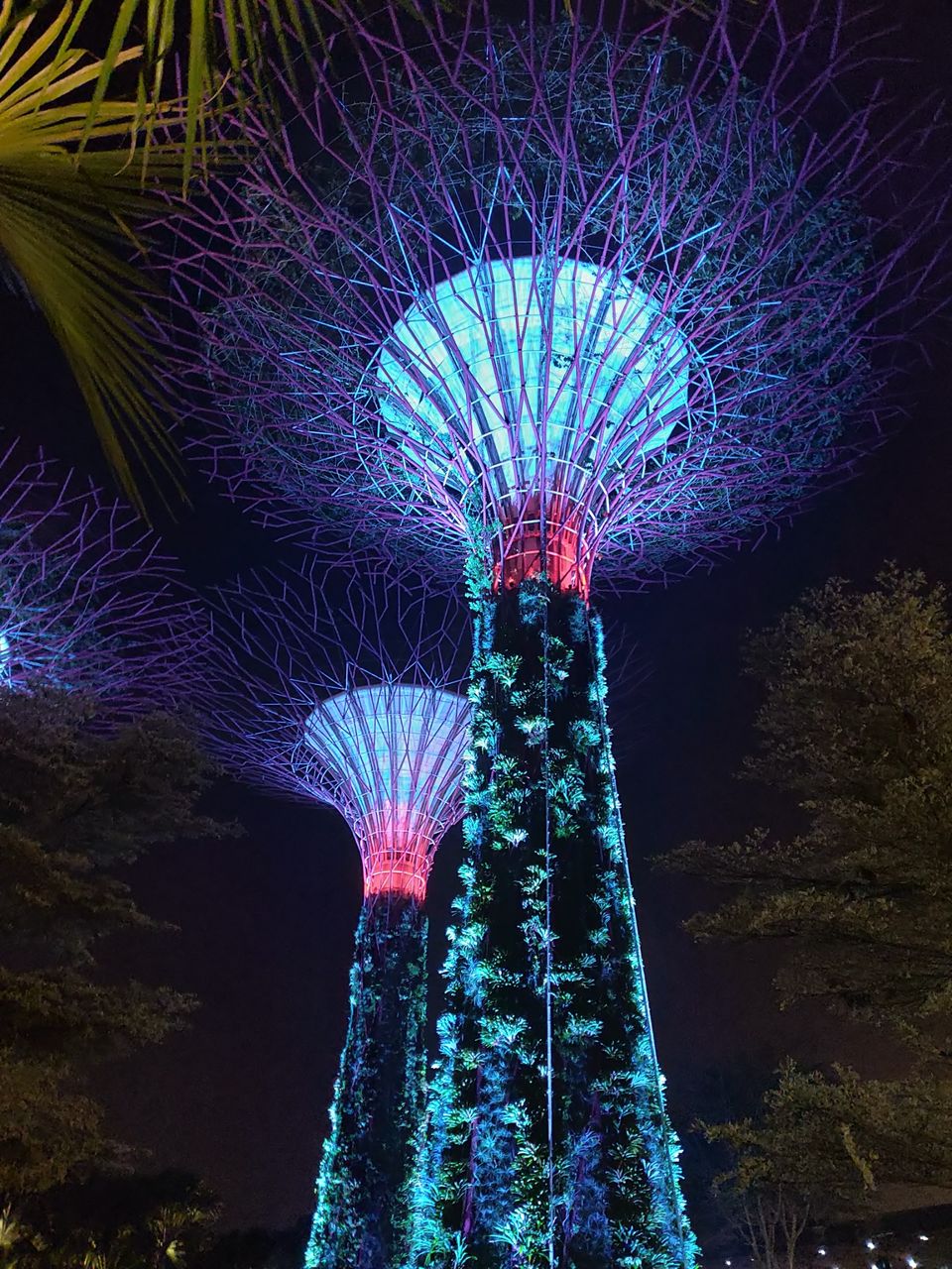 Photo of Dream Trip to the Luxury Island "Singapore" #Lifechangingtrip by Nikhil Ravindran