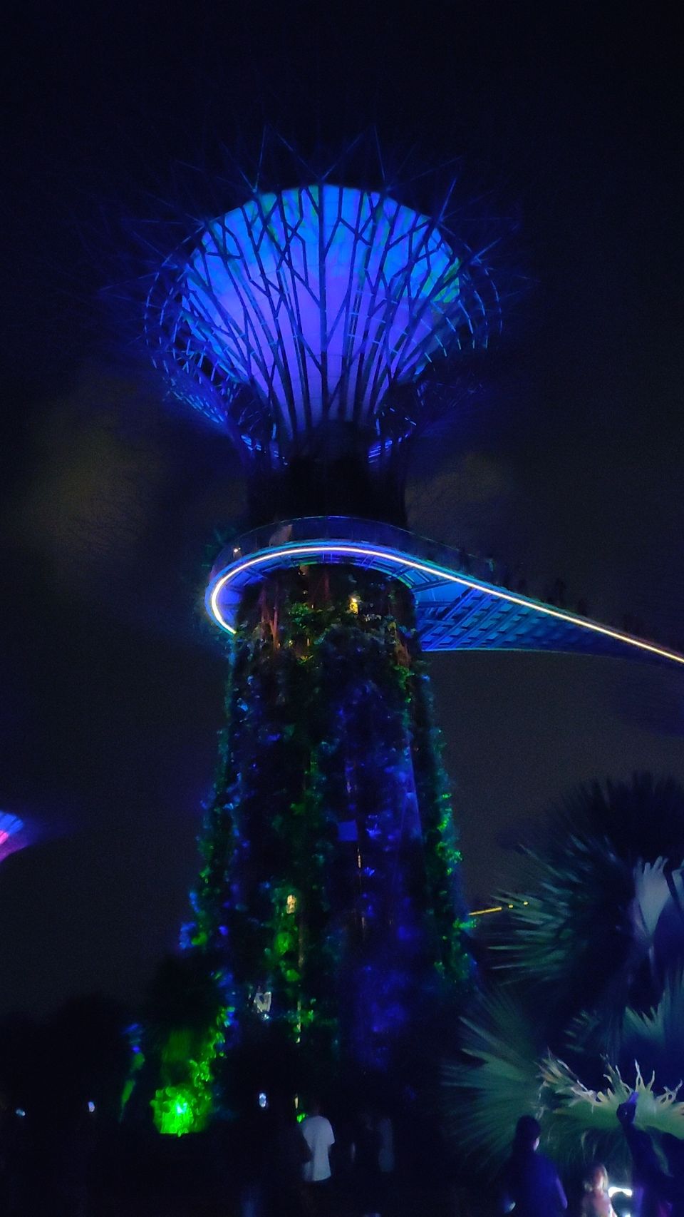 Photo of Dream Trip to the Luxury Island "Singapore" #Lifechangingtrip by Nikhil Ravindran