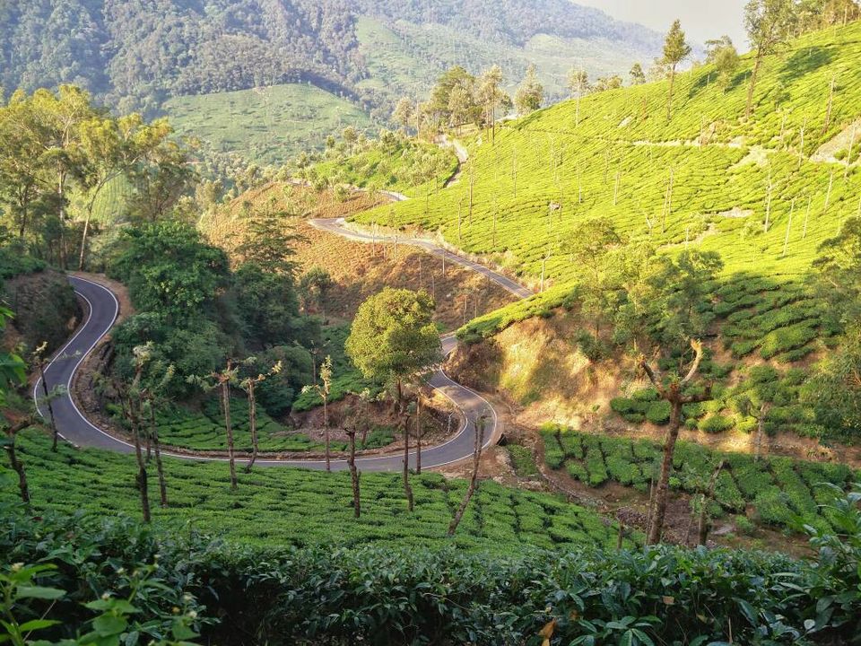 Photo of Bike Ride to Valparai by ASHISH SINGH
