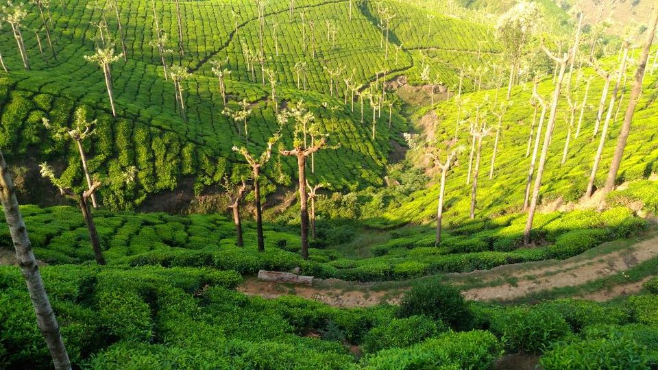 Photo of Bike Ride to Valparai by ASHISH SINGH