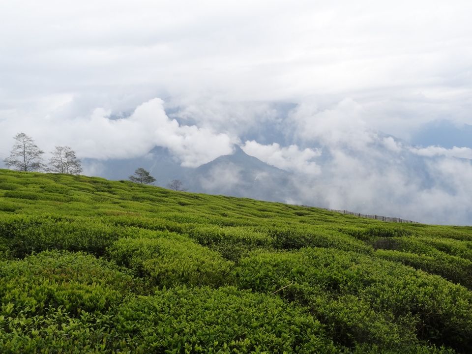 Photo of Namchi - The heart of South Sikkim 5/9 by Ava Mishra