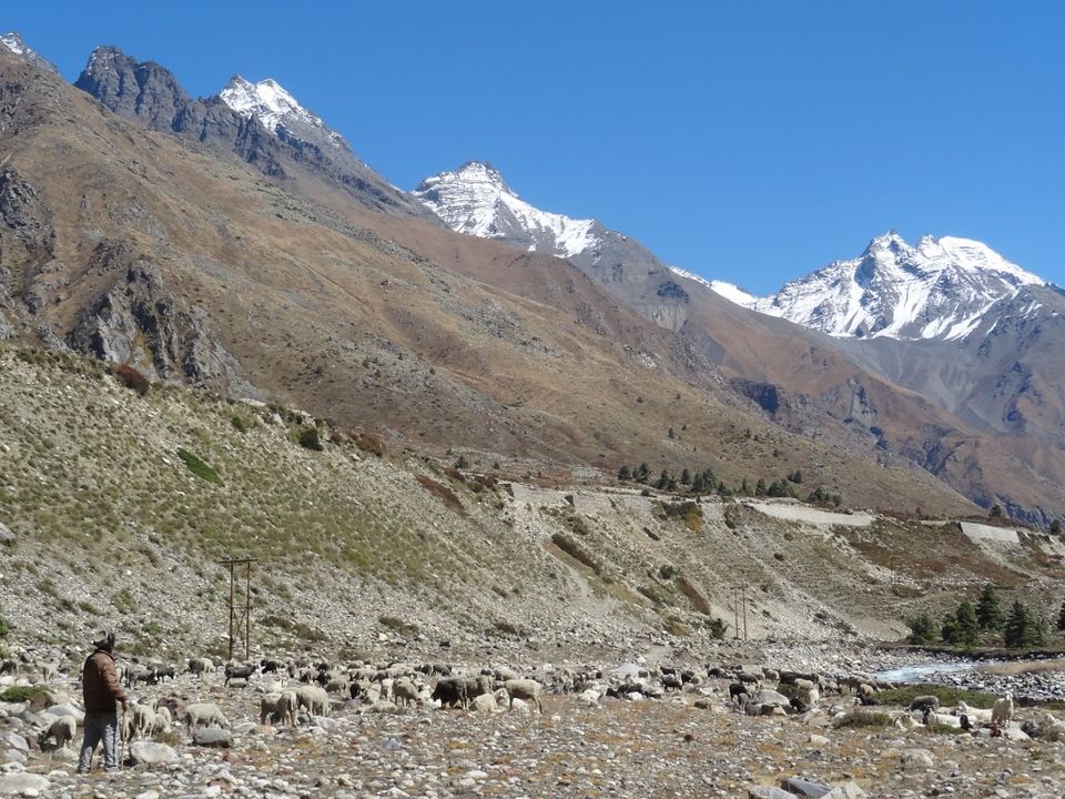Photo of Apples and More – Sangla and Chhitkul 13/20 by Ava Mishra