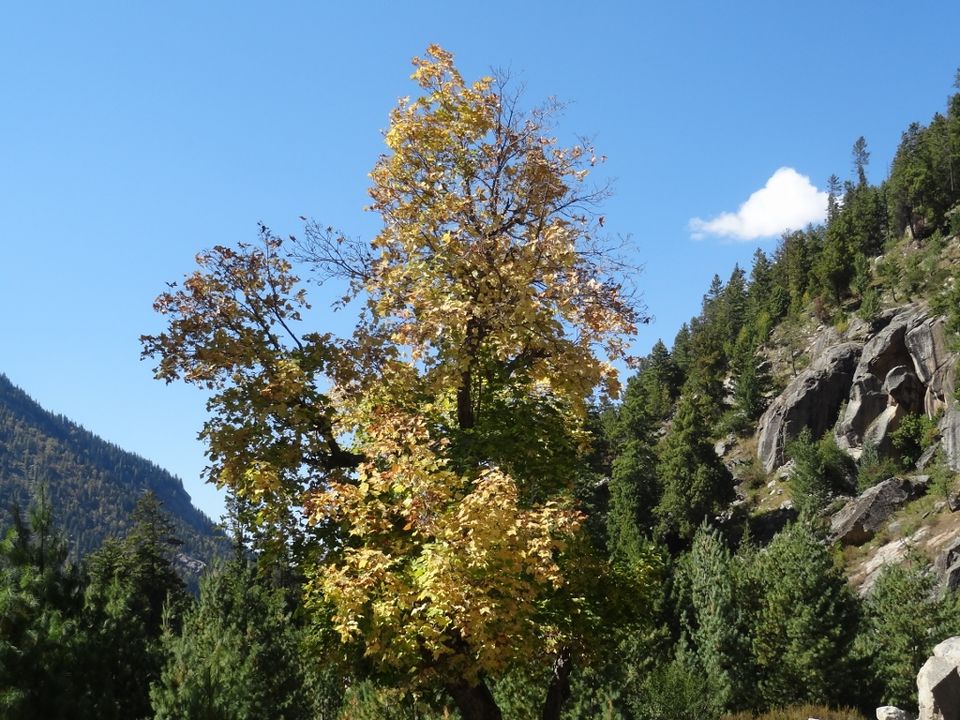 Photo of Apples and More – Sangla and Chhitkul 16/20 by Ava Mishra