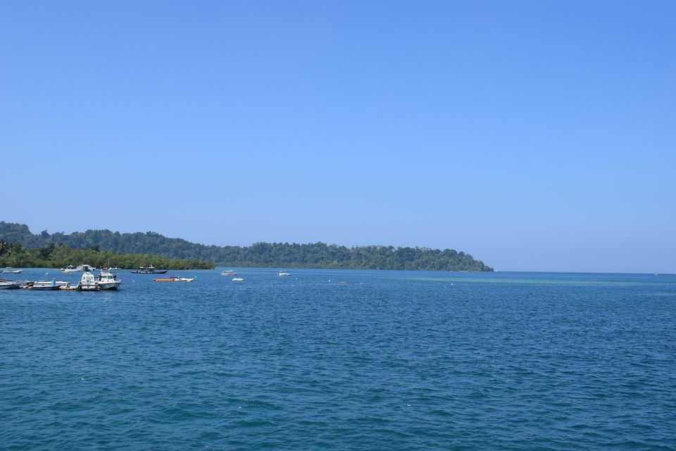Photo of A 5 Nights 6 Days itinerary for the Andaman Islands 3/14 by Ava Mishra