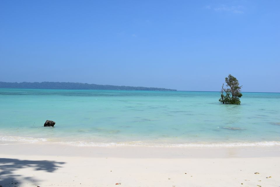 Photo of A 5 Nights 6 Days itinerary for the Andaman Islands 4/14 by Ava Mishra