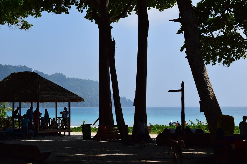 Photo of A 5 Nights 6 Days itinerary for the Andaman Islands 5/14 by Ava Mishra