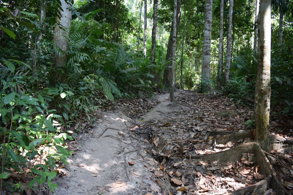 Photo of A 5 Nights 6 Days itinerary for the Andaman Islands 8/14 by Ava Mishra