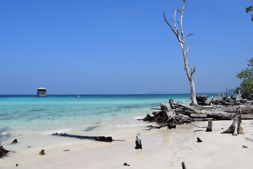 Photo of A 5 Nights 6 Days itinerary for the Andaman Islands 9/14 by Ava Mishra