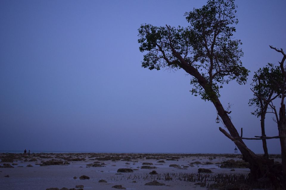 Photo of A 5 Nights 6 Days itinerary for the Andaman Islands 10/14 by Ava Mishra