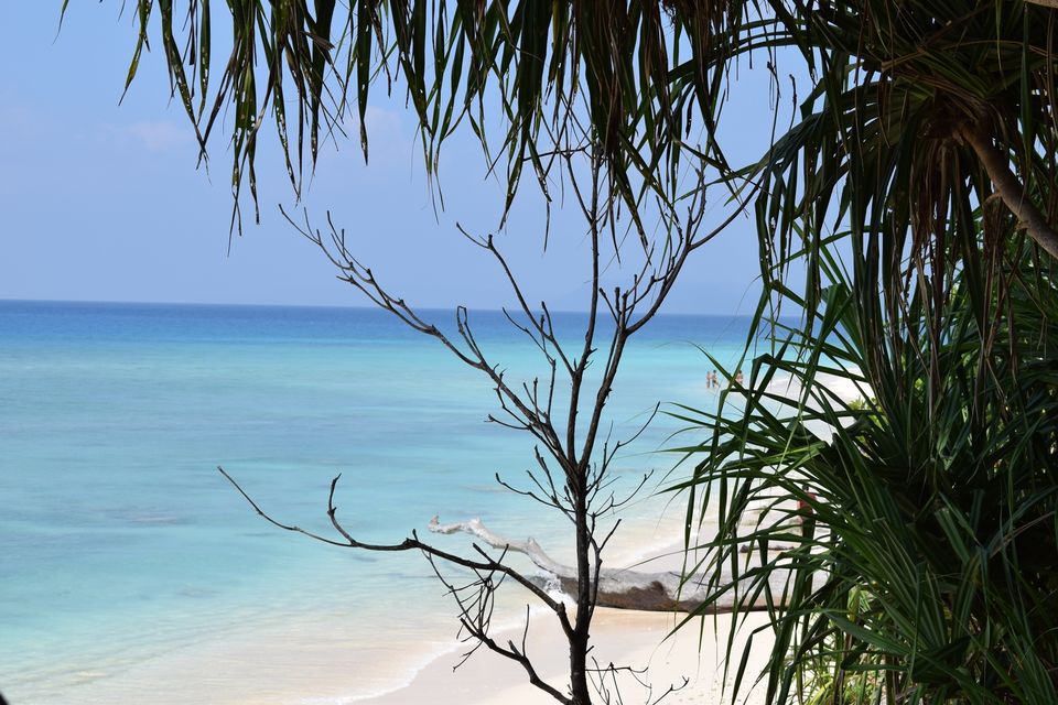 Photo of A 5 Nights 6 Days itinerary for the Andaman Islands 11/14 by Ava Mishra