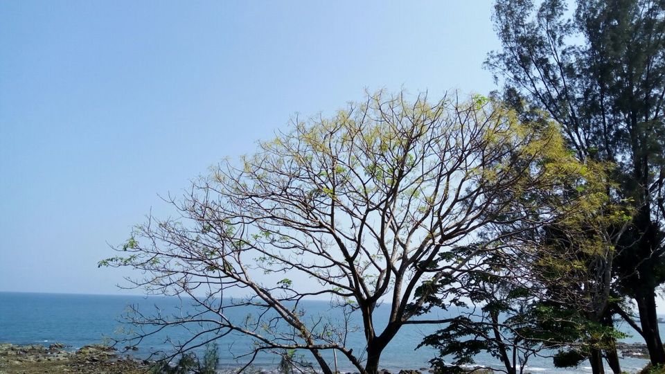 Photo of A 5 Nights 6 Days itinerary for the Andaman Islands 2/14 by Ava Mishra