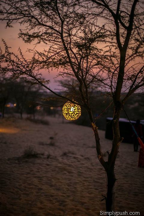 Photo of Ragasthan 2014! 43/43 by Pushpendra Gautam