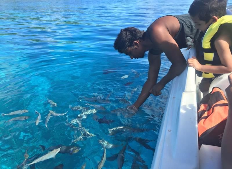 Photo of Maafushi, Maldives by mandy