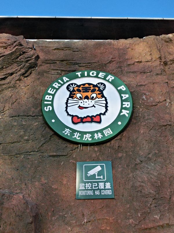 Photo of Siberia Tiger Park by mandy