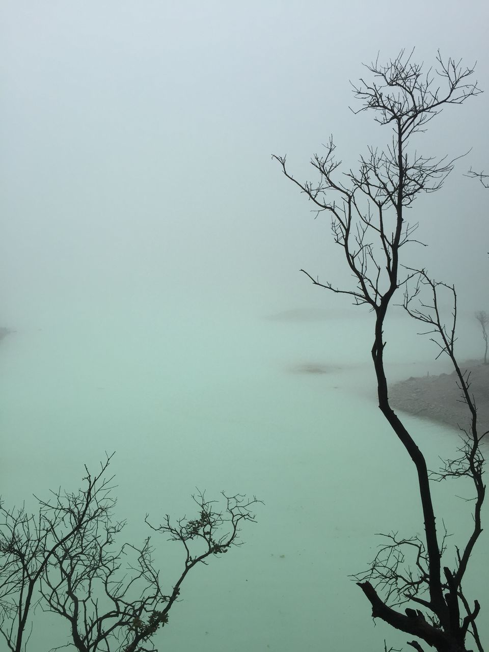 Photo of Kawah Putih, Patengan, West Java, Republic of Indonesia by mandy