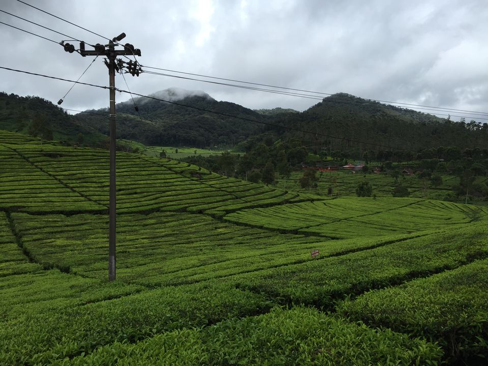 Photo of Rancabali, West Java, Republic of Indonesia by mandy