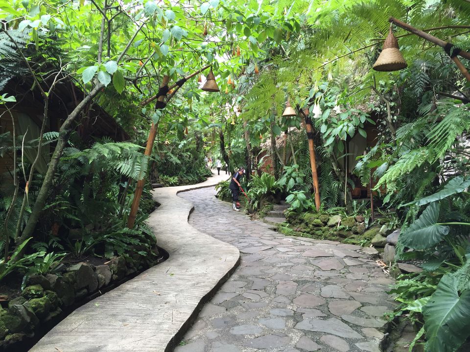 Photo of Kampung Daun, Cihideung, Bandung Barat, West Java, Republic of Indonesia by mandy