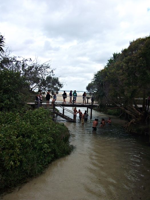 Photo of Eli Creek, 75 Mile Beach Road, Fraser Island, Queensland, Australia by mandy