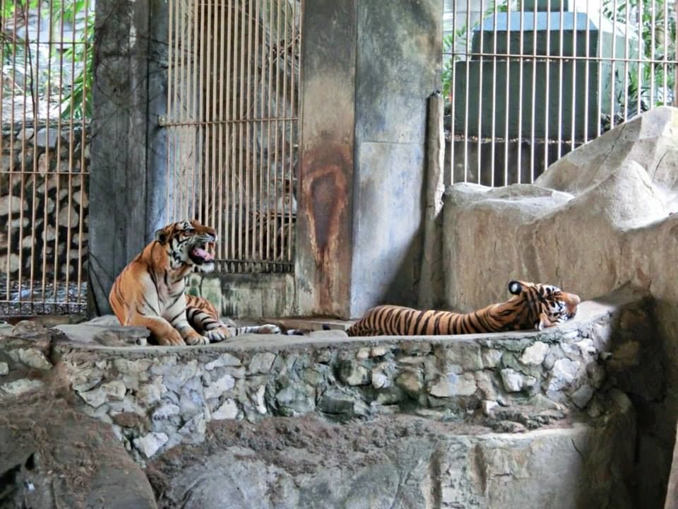 Photo of Malaysia - Fun in Sunway Lagoon 6/10 by mandy