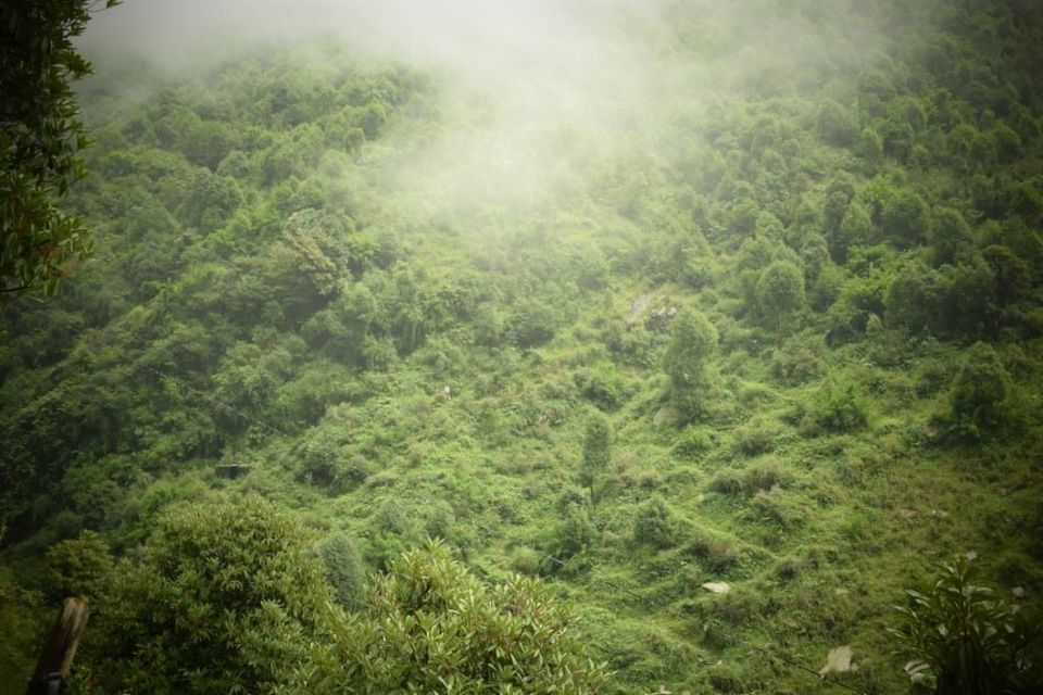 Photo of McleodGanj: Definitely not a Weekend Getaway from Delhi 33/49 by Manoj Kandpal