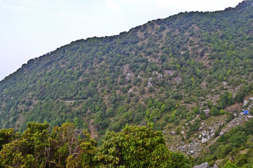 Photo of Triund: Not Trekking but Weekend Picnic Spot 27/42 by Manoj Kandpal