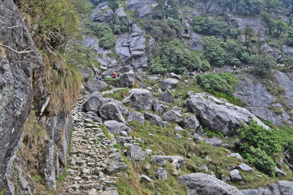 Photo of Triund: Not Trekking but Weekend Picnic Spot 29/42 by Manoj Kandpal