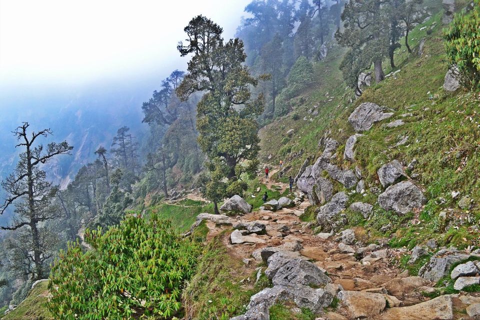 Photo of Triund: Not Trekking but Weekend Picnic Spot 39/42 by Manoj Kandpal