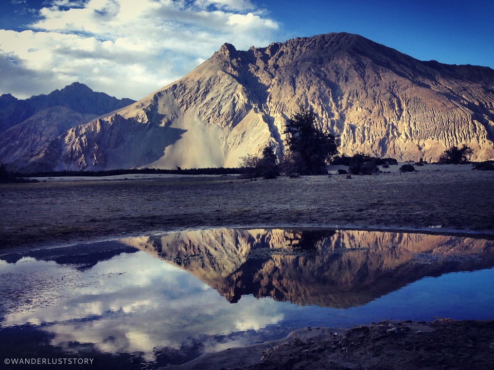 Photo of Bewitching Ladakh! 5/9 by Tasneem Bhavnagarwala
