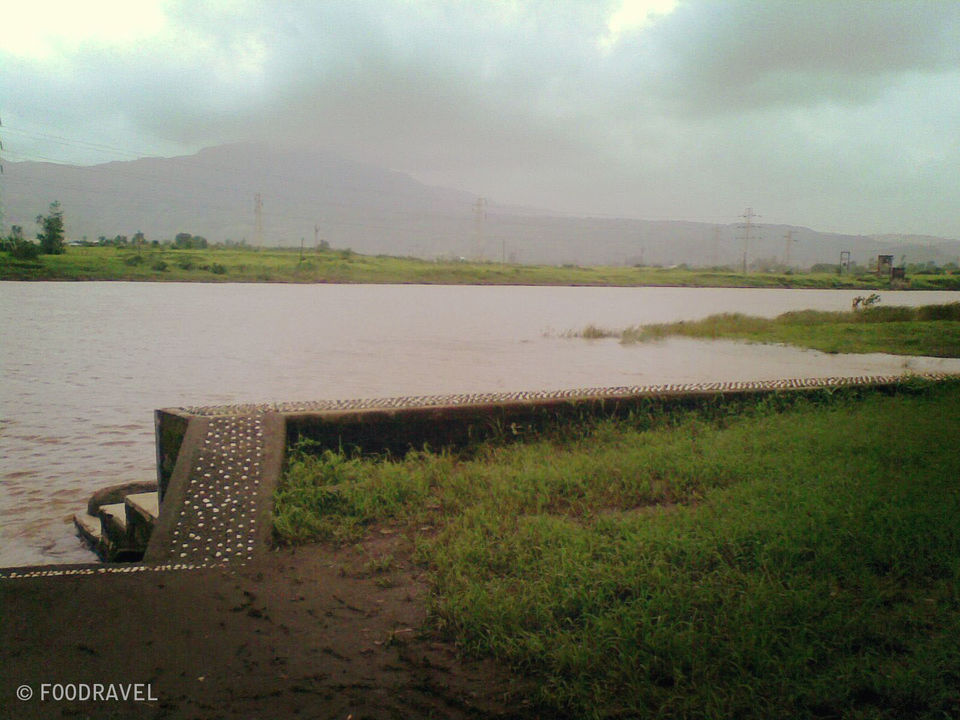 Photo of Touched by Nature 1/5 by Tasneem Bhavnagarwala