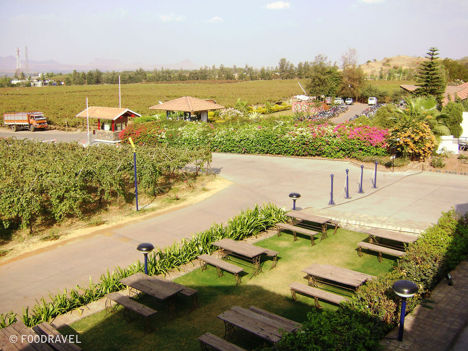 Photo of Sula - A Trail to Happiness 5/5 by Tasneem Bhavnagarwala