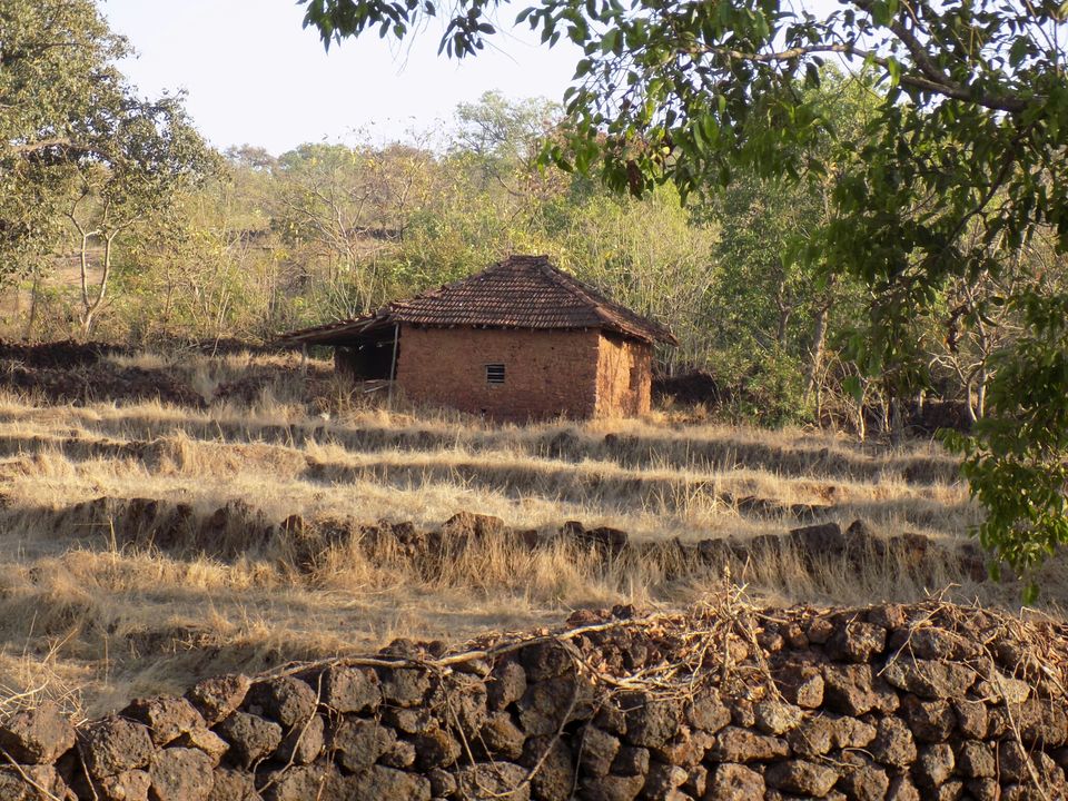Photo of From the archives - Dapoli -Less Explored Beauty by Ramesh Yadav