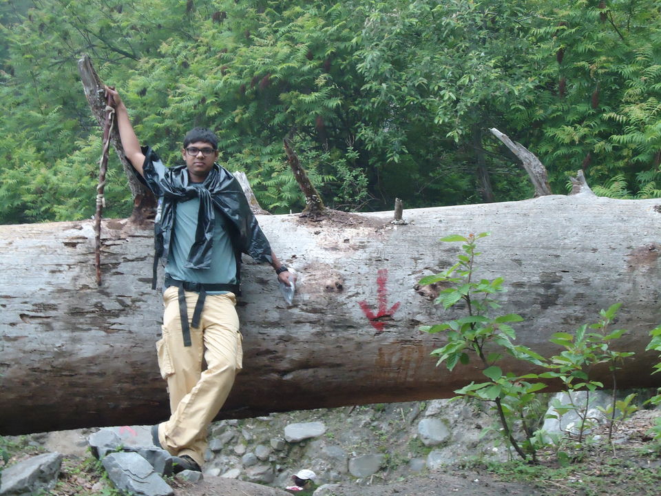 Photo of Saurkundi Pass Trekking (Himachal Pradesh) June-2013 7/71 by Bhargav Vyas