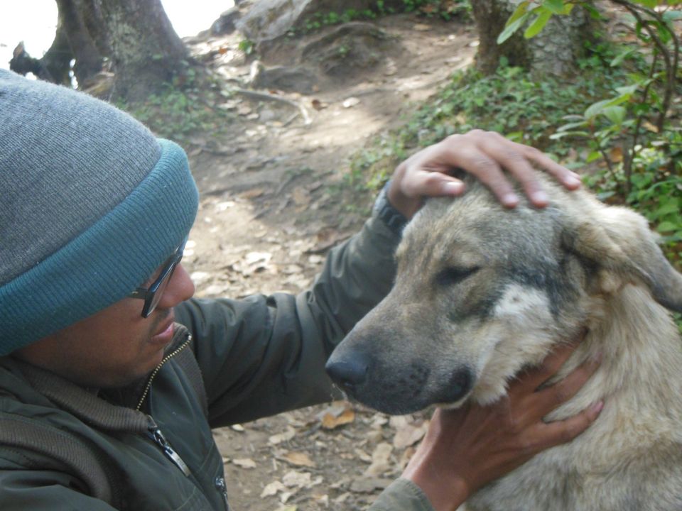 Photo of Saurkundi Pass Trekking (Himachal Pradesh) June-2013 11/71 by Bhargav Vyas
