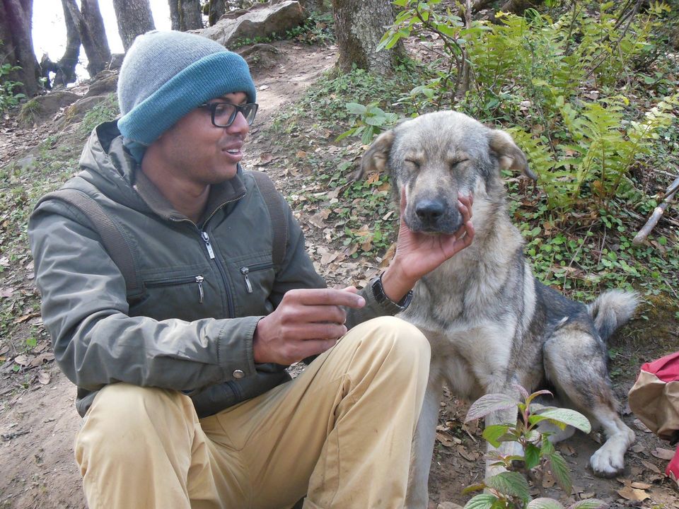 Photo of Saurkundi Pass Trekking (Himachal Pradesh) June-2013 12/71 by Bhargav Vyas