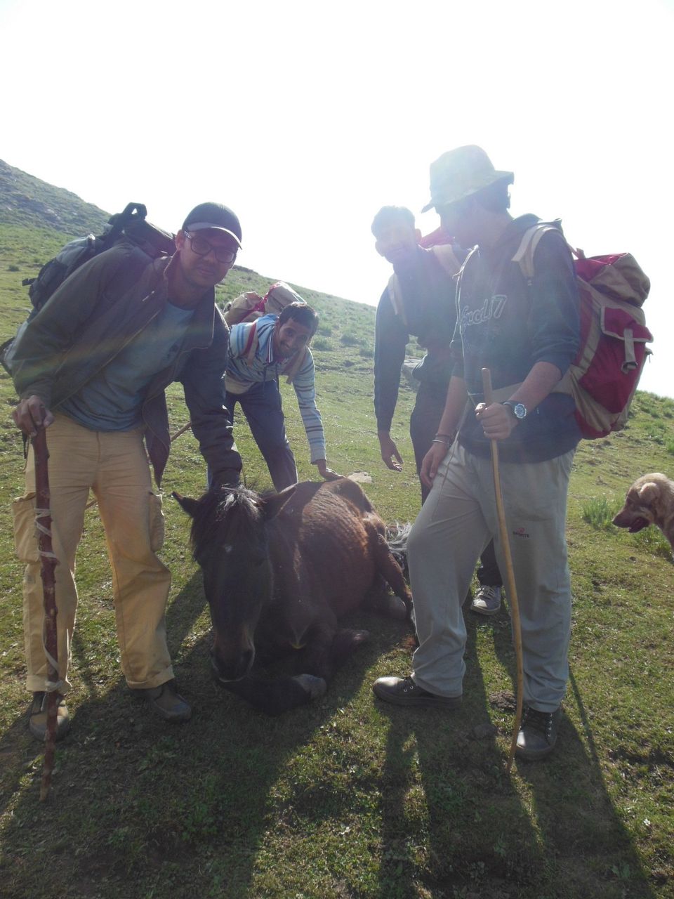 Photo of Saurkundi Pass Trekking (Himachal Pradesh) June-2013 21/71 by Bhargav Vyas