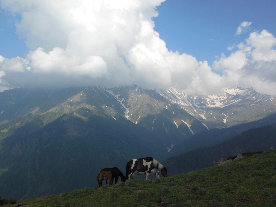 Photo of Saurkundi Pass Trekking (Himachal Pradesh) June-2013 23/71 by Bhargav Vyas