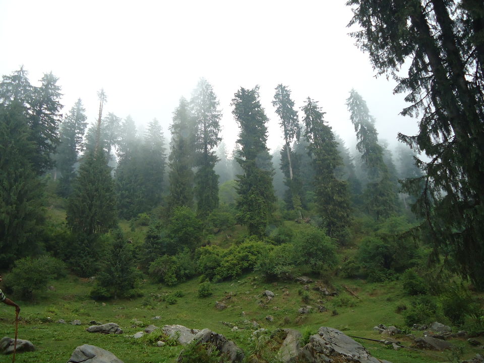 Photo of Saurkundi Pass Trekking (Himachal Pradesh) June-2013 5/71 by Bhargav Vyas