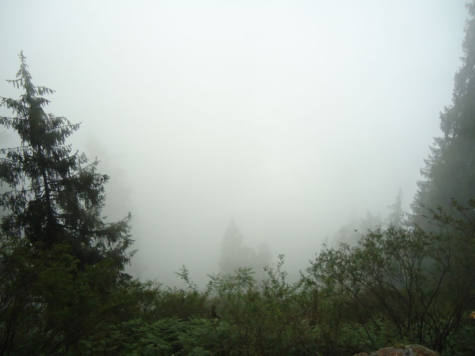 Photo of Saurkundi Pass Trekking (Himachal Pradesh) June-2013 6/71 by Bhargav Vyas
