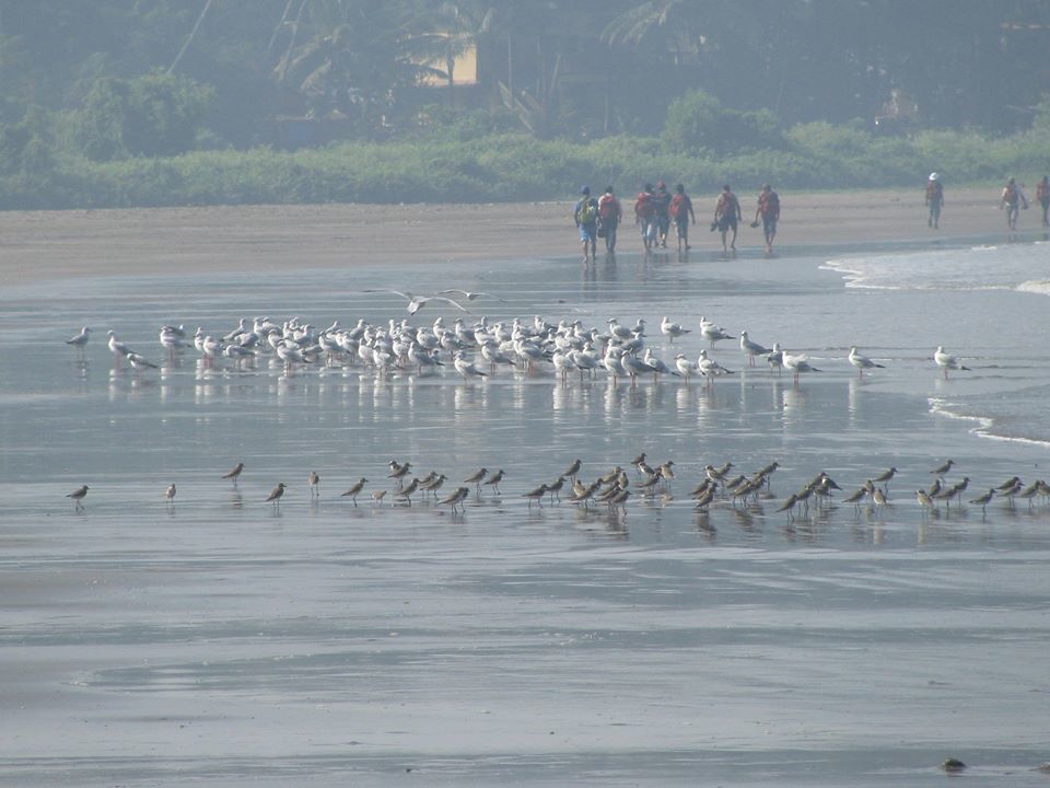 Photo of Goa Trekking (Dec.-2015) by Bhargav Vyas