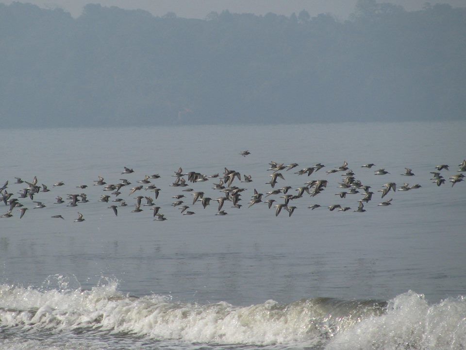Photo of Goa Trekking (Dec.-2015) by Bhargav Vyas