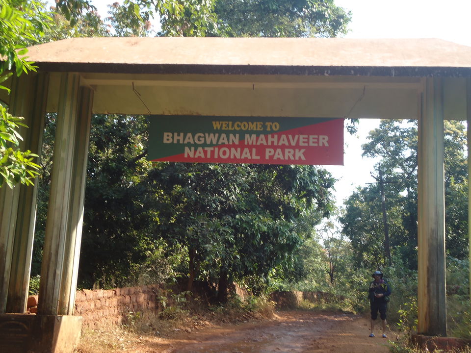 Photo of Goa Trekking (Dec.-2015) by Bhargav Vyas