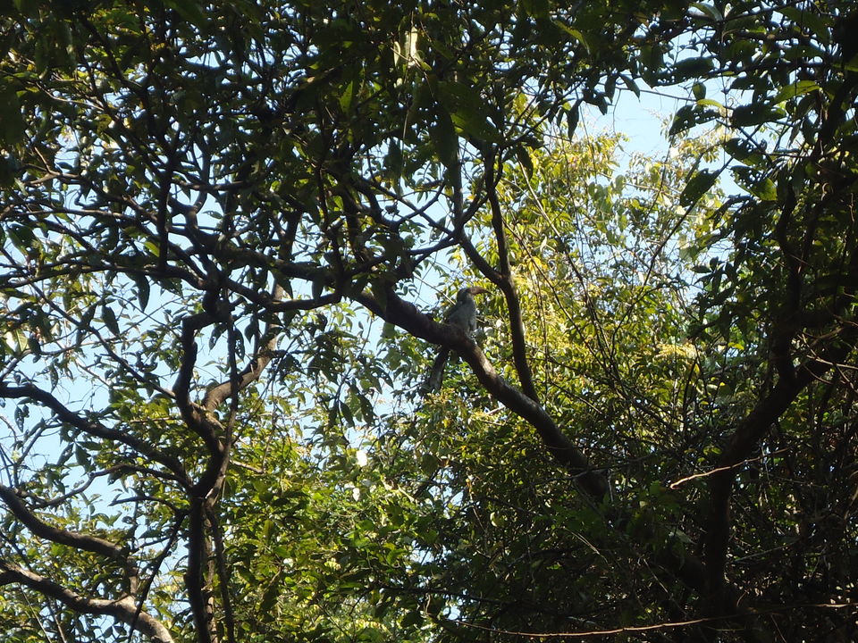 Photo of Goa Trekking (Dec.-2015) by Bhargav Vyas
