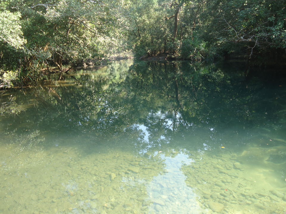Photo of Goa Trekking (Dec.-2015) by Bhargav Vyas