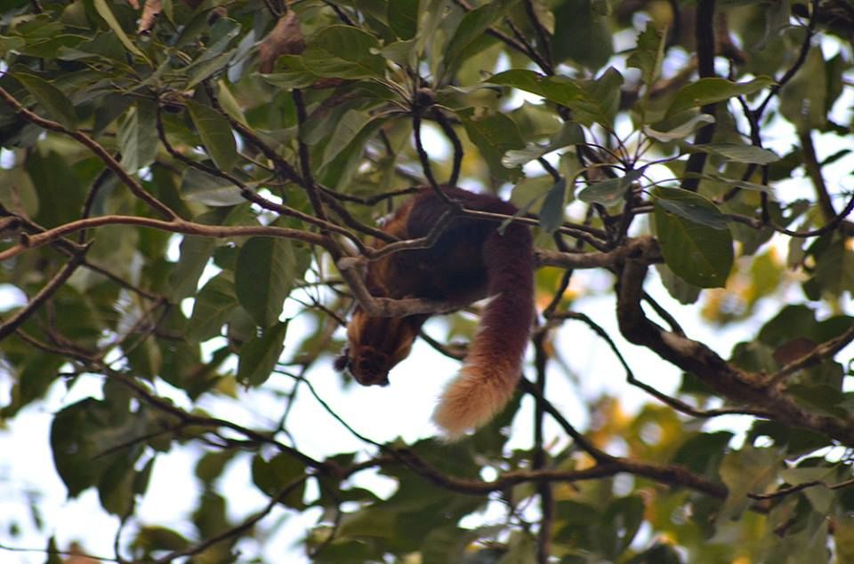 Photo of Goa Trekking (Dec.-2015) by Bhargav Vyas