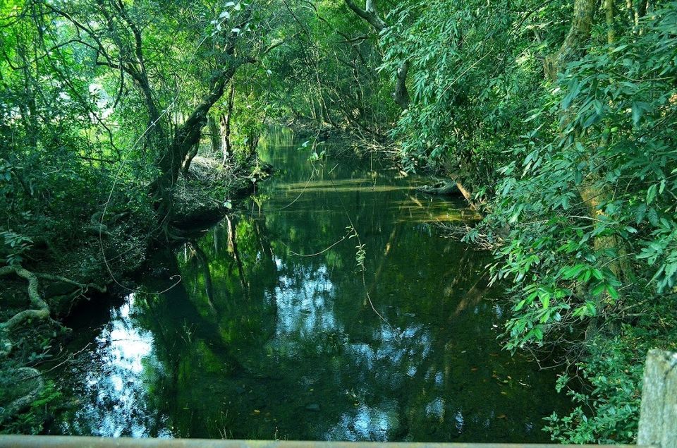 Photo of Goa Trekking (Dec.-2015) by Bhargav Vyas